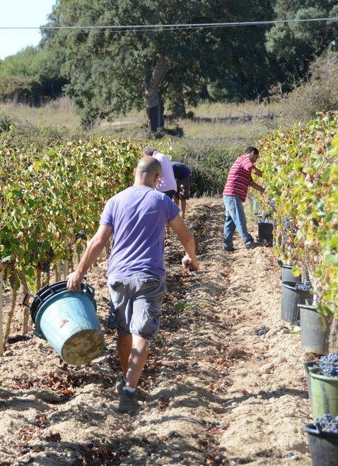 Legacoop riparte: più imprese associate e fatturato in crescita 