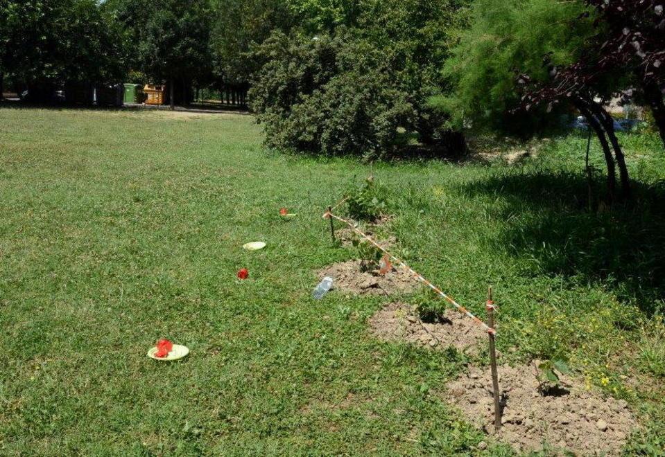 Cade mentre gioca al parco, undicenne in coma 