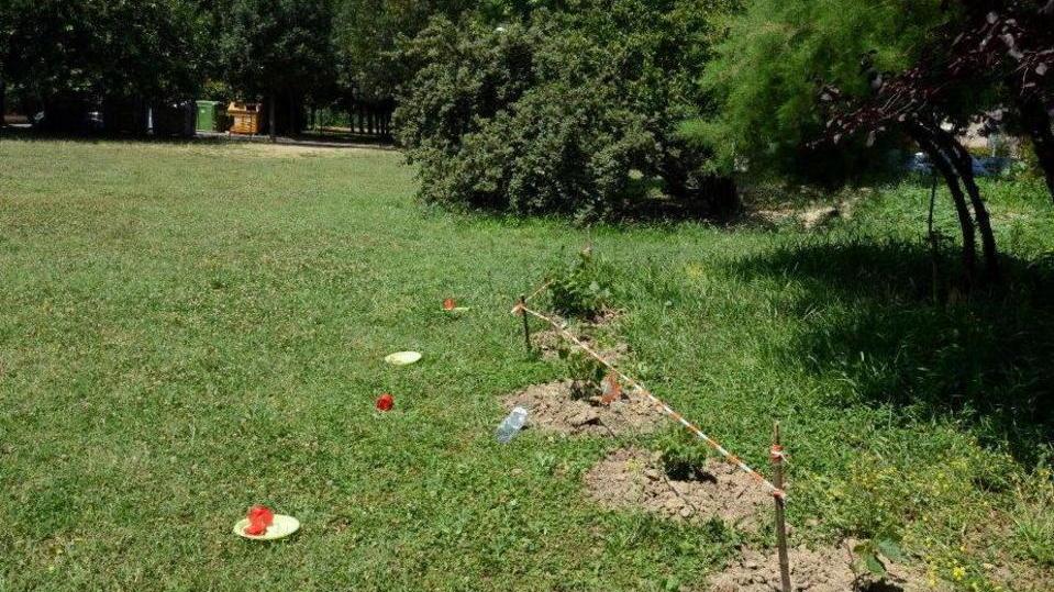 Cade mentre gioca al parco, undicenne in coma