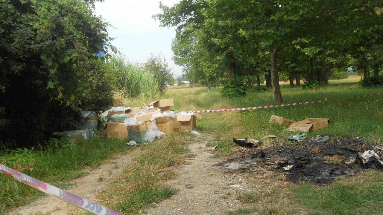 La discarica con la carcassa del cane