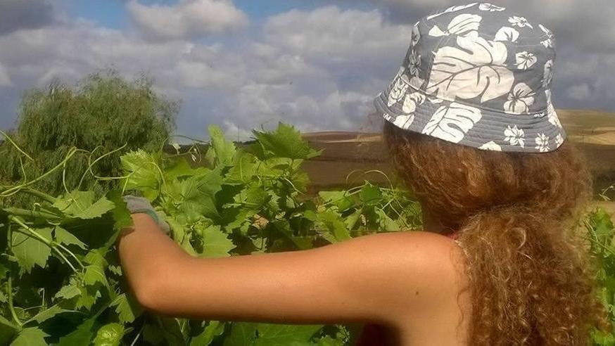 Studentesse al lavoro sui terreni confiscati alla mafia