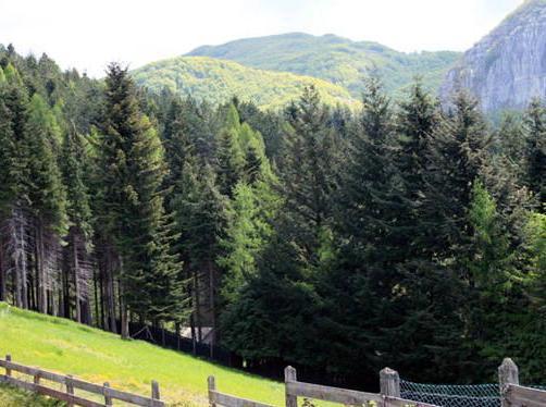 Strada sicura per andare all’Orecchiella 
