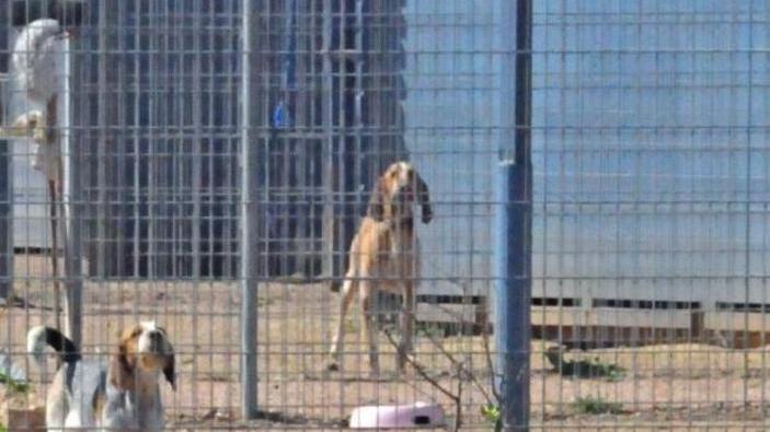 Oggi serata a tavola con l’Arca sarda