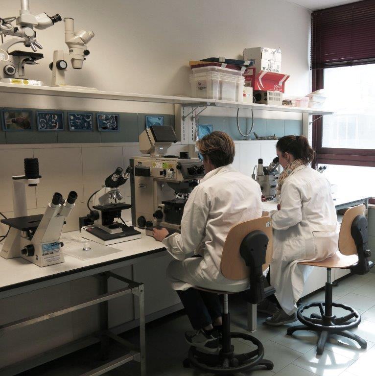 Un laboratorio medico in una foto d’archivio