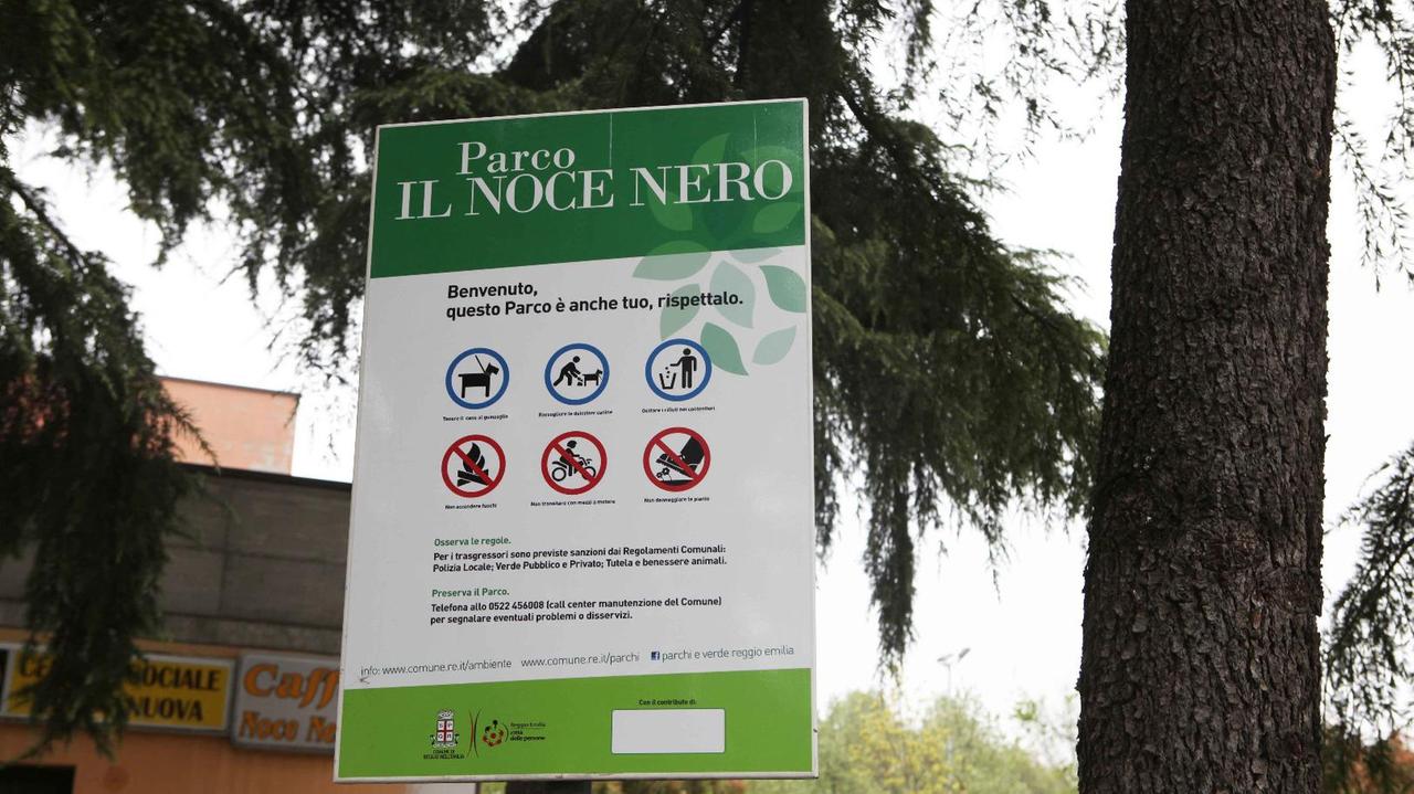 Reggio Emilia, banda di minorenni aggredisce e rapina un disabile
