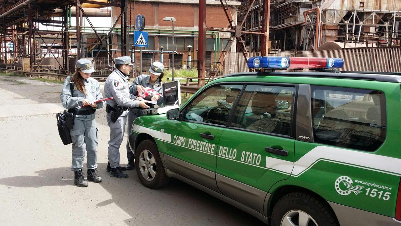 Una macchina della Forestale durante un recente blitz nell’area inquinata (foto Paolo Barlettani)