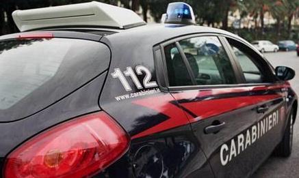 Rissa sul molo davanti ai turisti 