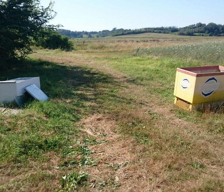 Un altro colpo al cuore del Padule frigo e rifiuti accanto alle cicogne 