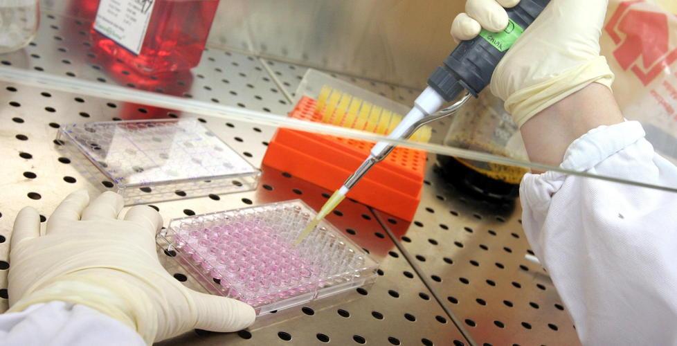 «Pap test positivo, ritardo inaccettabile» 