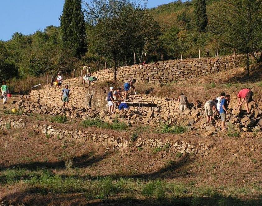 In sei paesi prende il via l’operazione Mato Grosso