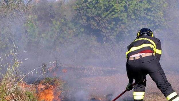 Oltre 160 ettari di bosco andati in fumo in 5 anni