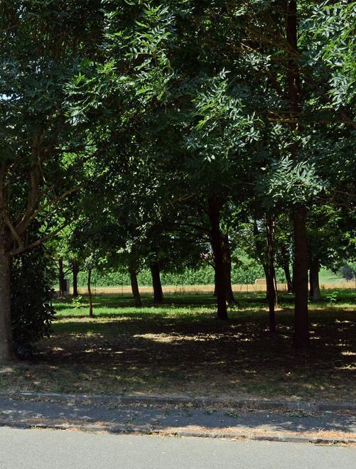 Ravarino. ancora grave il bimbo caduto mentre giocava 