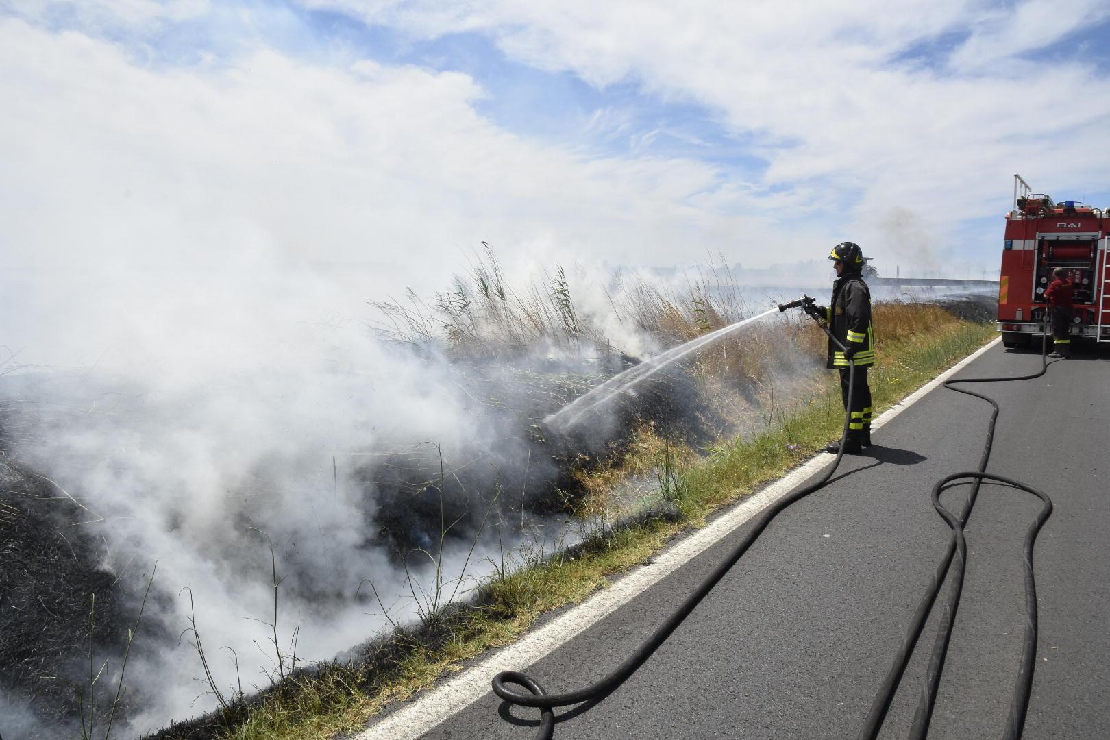 Vigili del fuoco al lavoro lungo la strada delle Strillaie (foto Bf)