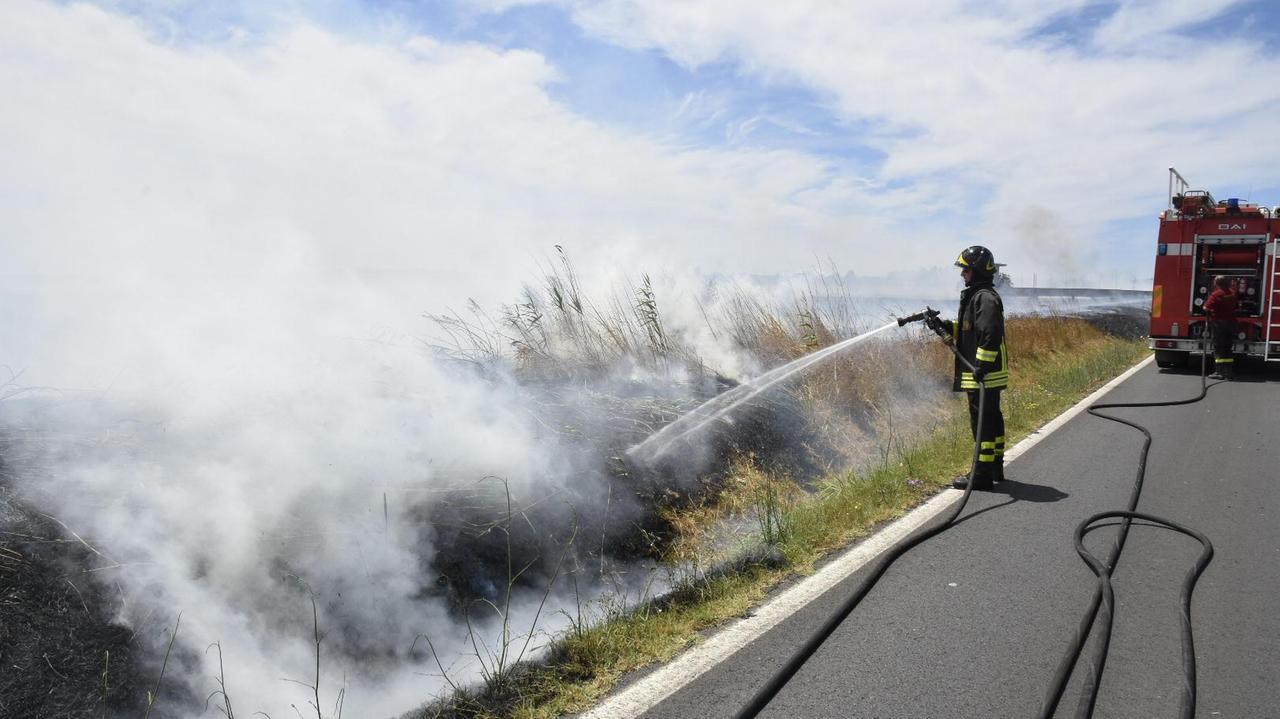 Vigili del fuoco al lavoro lungo la strada delle Strillaie (foto Bf)