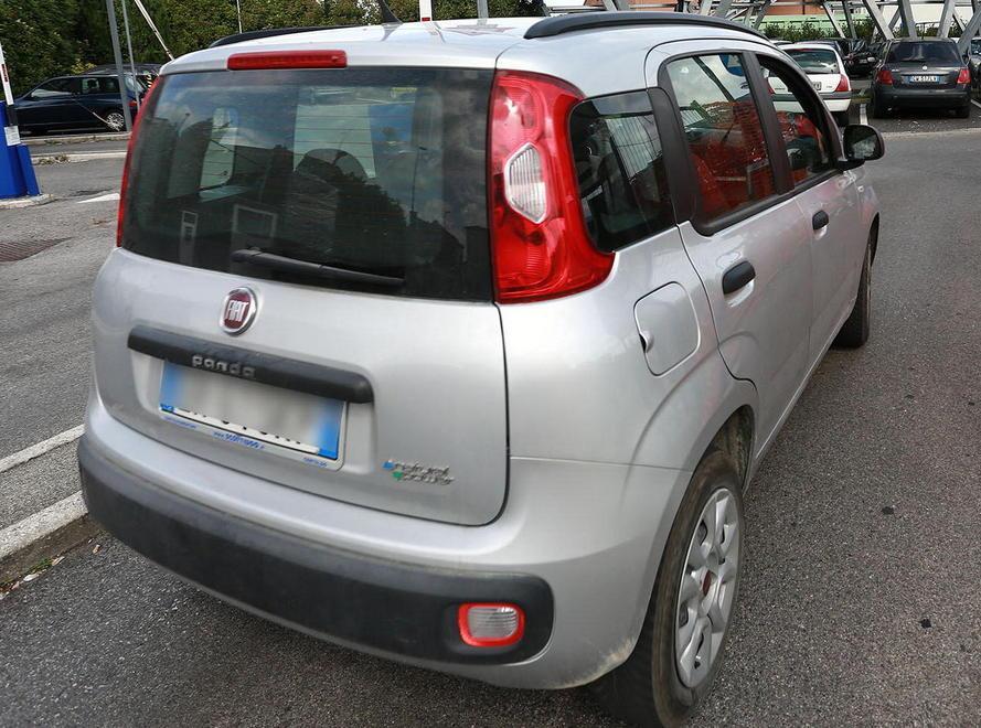 I maremmani preferiscono le utilitarie 
