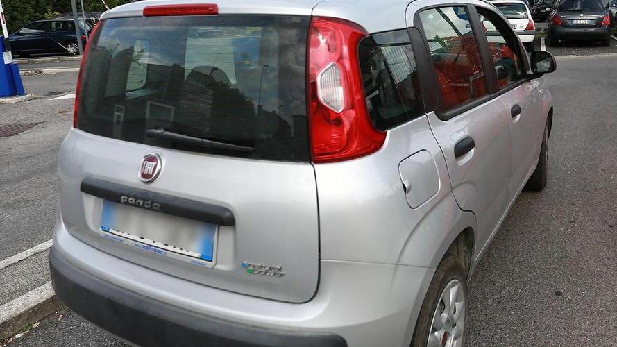 I maremmani preferiscono le utilitarie