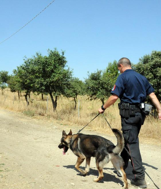 In cerca di tracce nelle aziende dei Pinna 