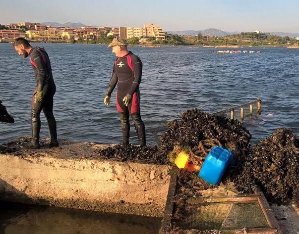 La peschiera trasformata in allevamento abusivo 