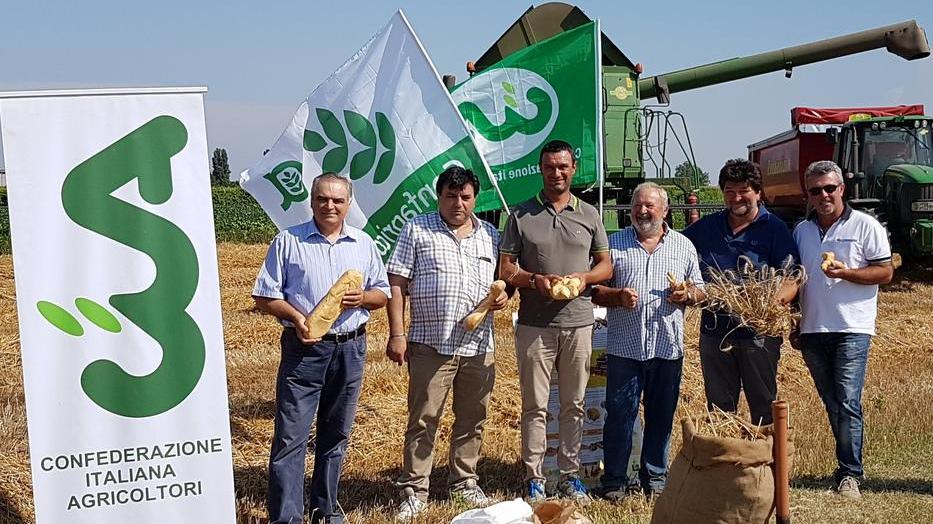 La rabbia degli agricoltori modenesi: «Assurdi i prezzi del grano, si chiude»