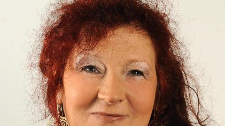 Al via i lavori al Brizzi devastato dal vento