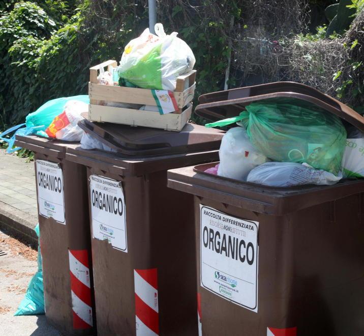 L’assessore dei rifiuti zero nel consiglio di Sea ambiente