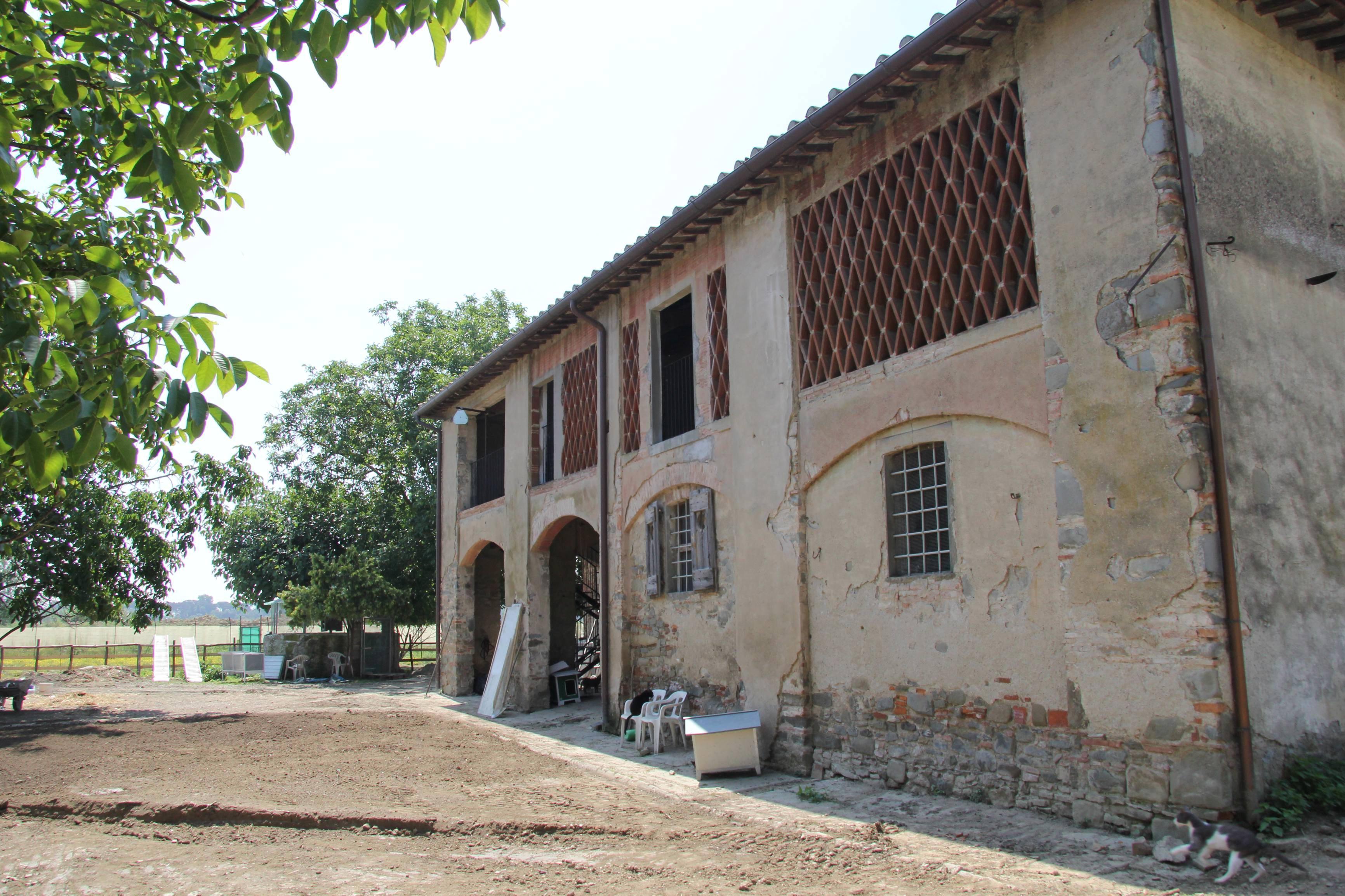 Il cascinale dell'oasi felina della Bogaia