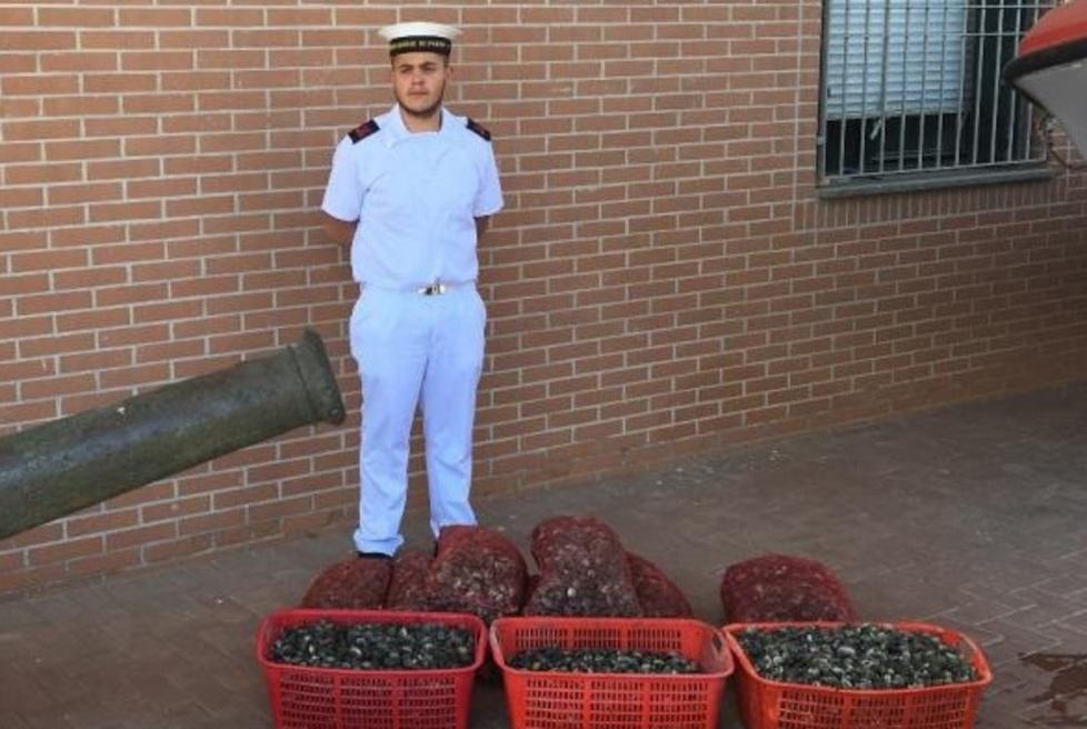 Porto Garibaldi, oltre 250 chili di vongole sequestrati sulla Romea 
