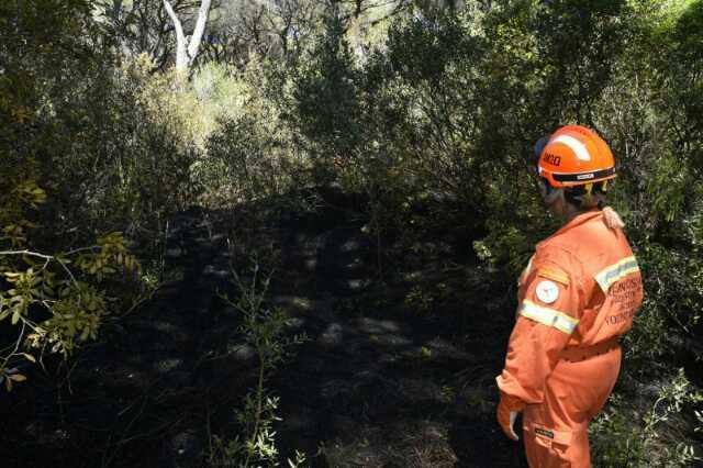 Ancora fiamme in Maremma: due incendi tra Marina di Grosseto e Roccastrada