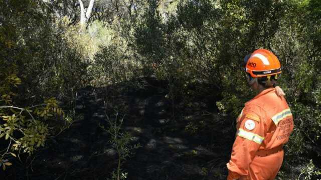 Ancora fiamme in Maremma: due incendi tra Marina di Grosseto e Roccastrada