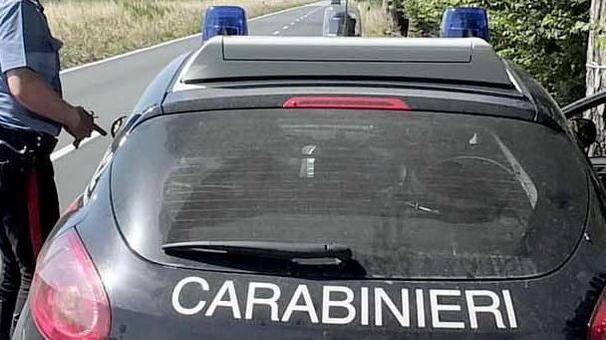 Rubano 300 quintali di legna Arrestati e subito rilasciati