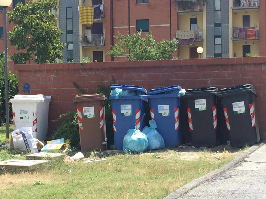 Geofor dimentica gli sfalci Il degrado invade i condomini