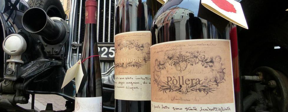 Dal “Quasi Otto” al “Bigoncio”: i vini di punta