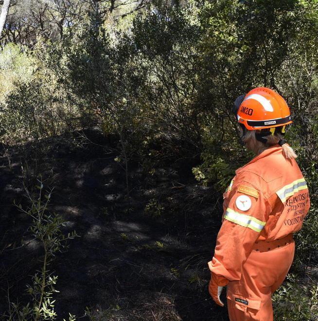 Ancora fiamme nella pineta di Marina 