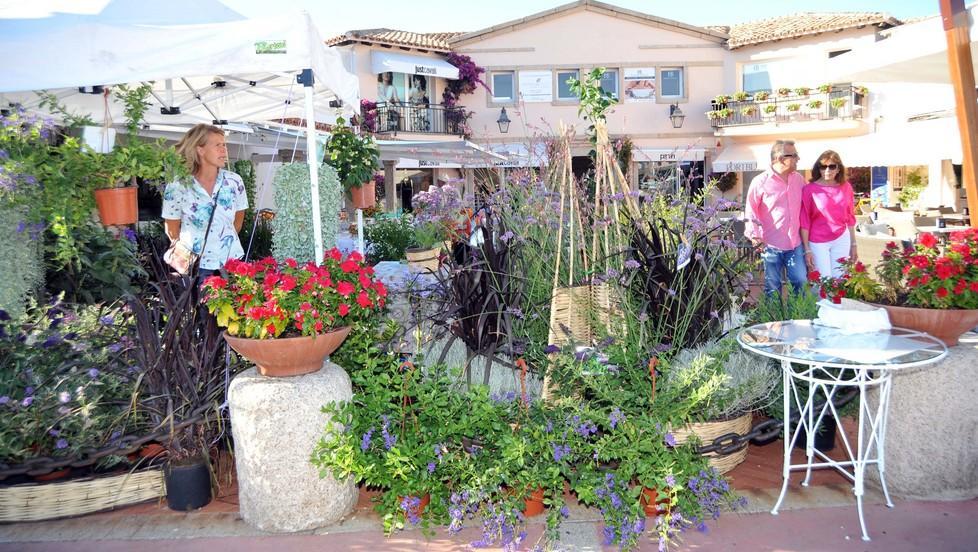 Porto Rotondo, la darsena profumata e ricca di colori 