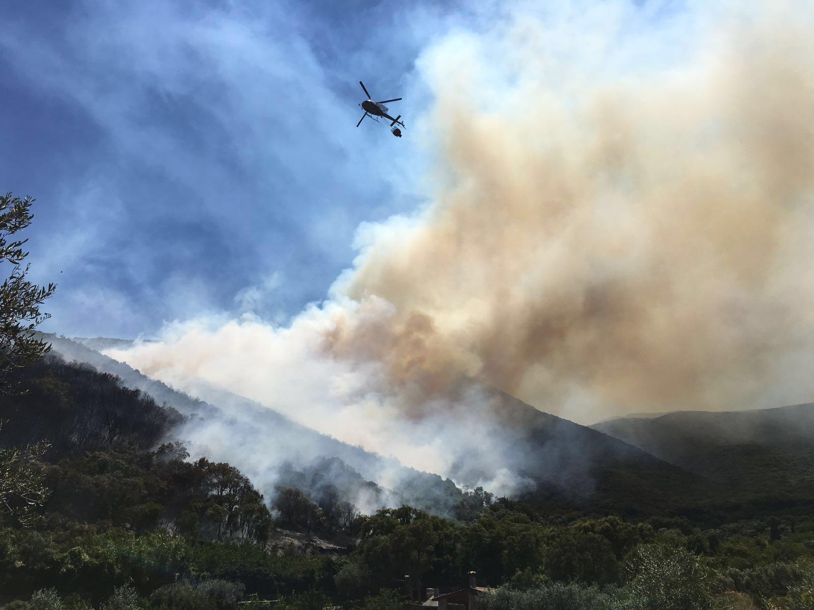 Villacidro, devastante incendio nei boschi di Monti Mannu