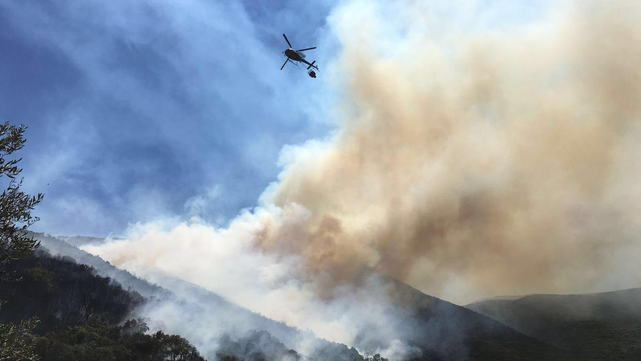 Villacidro, devastante incendio nei boschi di Monti Mannu