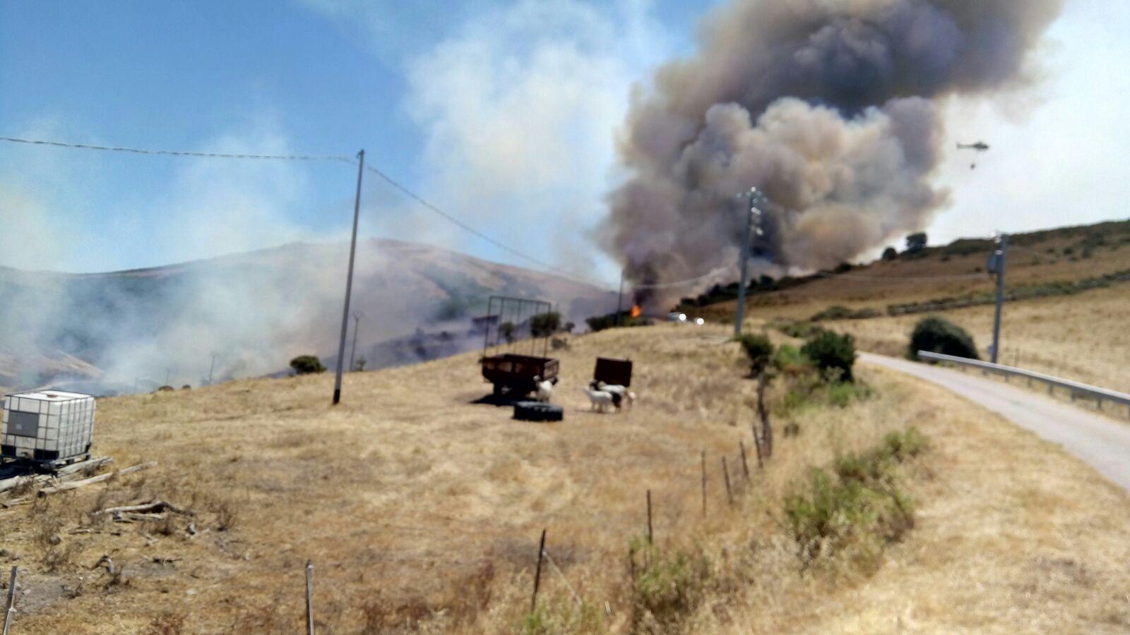 L'alta colonna di fumo dell'incendio di Aggius