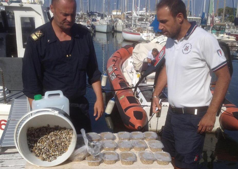 Sequestrati 17 chili di arselle nascoste nelle aiuole