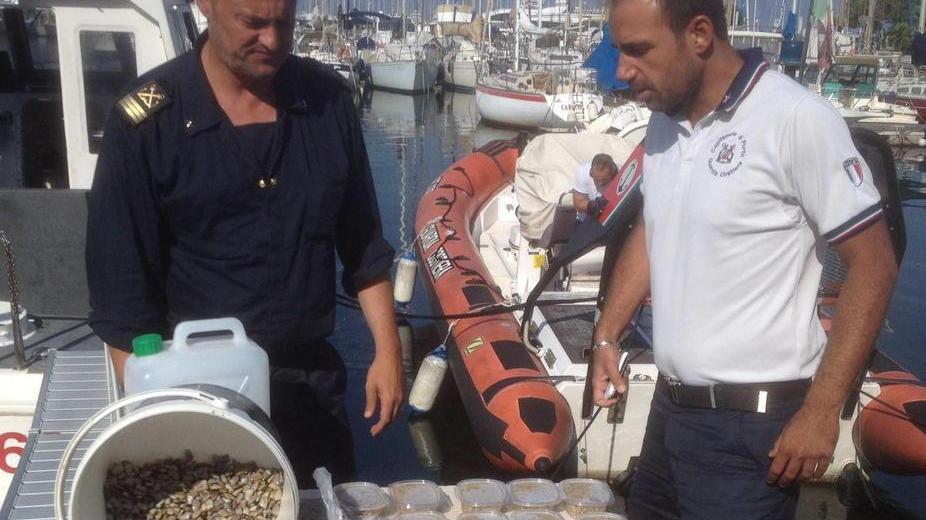 Sequestrati 17 chili di arselle nascoste nelle aiuole