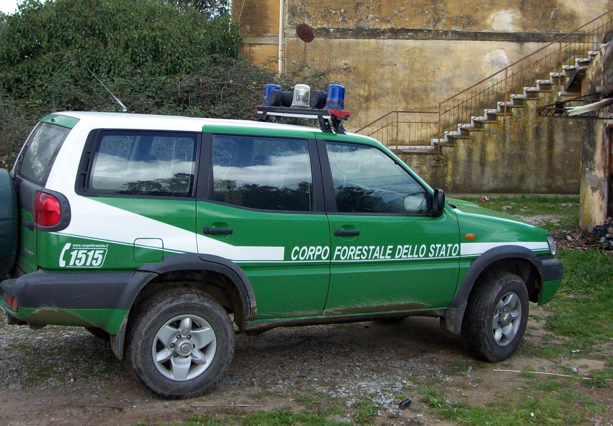 Un'auto del Corpo Forestale dello Stato