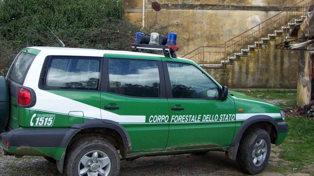Un'auto del Corpo Forestale dello Stato