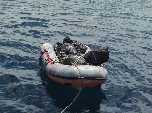 I volontari puliscono la spiaggia di Capo Pini 