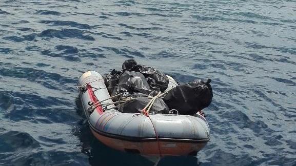 I volontari puliscono la spiaggia di Capo Pini