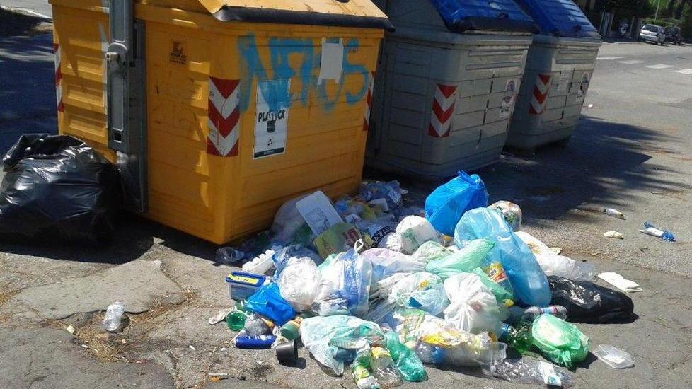 Rifiuti sulla strada per la gioia dei topi