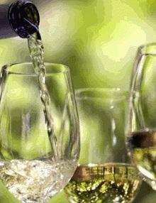 Vermentino Mattariga di Chessa, prodotto nobile delle colline di Usini