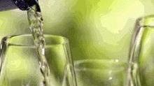 Vermentino Mattariga di Chessa, prodotto nobile delle colline di Usini