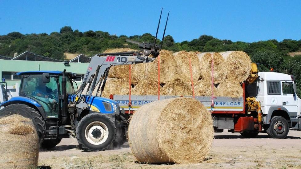 Sessanta rotoballe per il Marghine