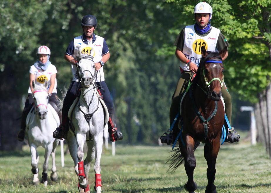 Endurance a San Rossore affari economici garantiti 
