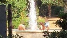 Il bagno nella fontana scatena le reazioni