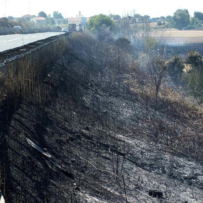 Incendio divora 200 ettari di terreno 